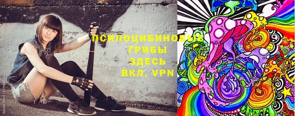 ПСИЛОЦИБИНОВЫЕ ГРИБЫ Абаза