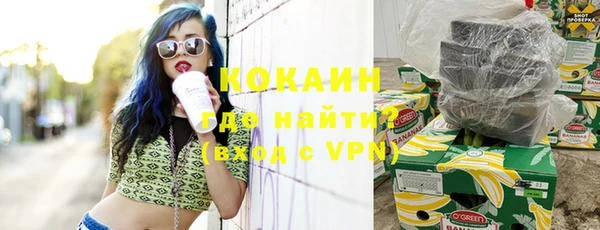 ПСИЛОЦИБИНОВЫЕ ГРИБЫ Абаза