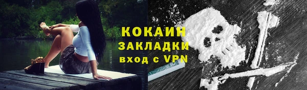ПСИЛОЦИБИНОВЫЕ ГРИБЫ Абаза